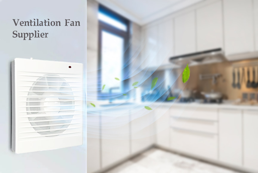 Energy Efficient Ventilation Fan Manufacturer | Trends & Solutions for 2025 and Beyond