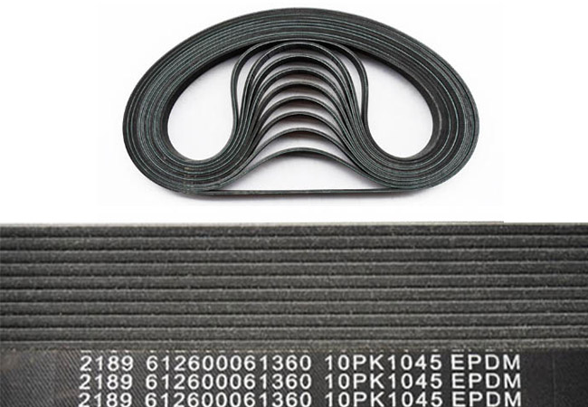 Ribbed Belt