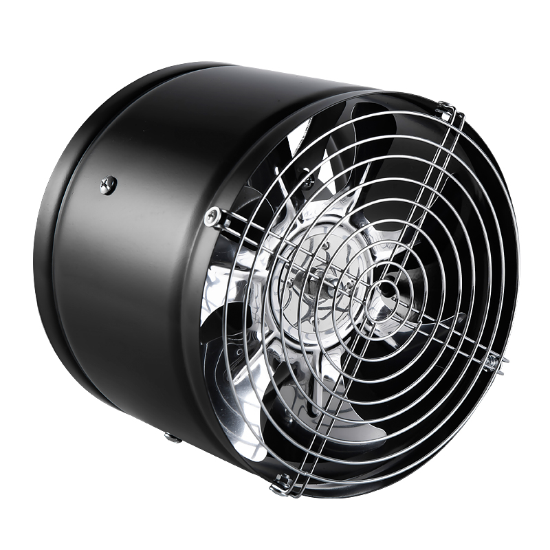 8 inch 220V 50Hz Portable Ventilators Axial Workshop Extractor Fans