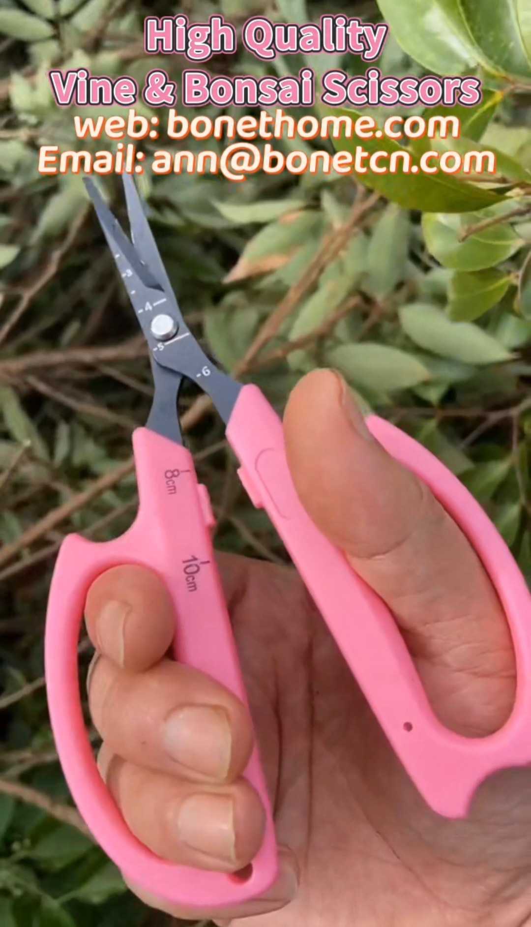 Transformer le jardinage avec des ciseaux de vigne de haute qualité