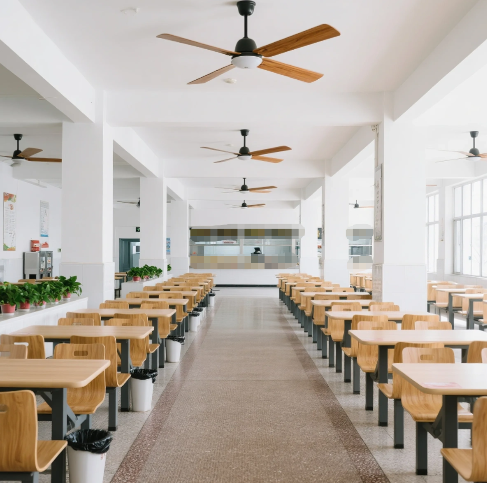 Air Circulation Systems for Schools: Creating Healthier Learning Environments