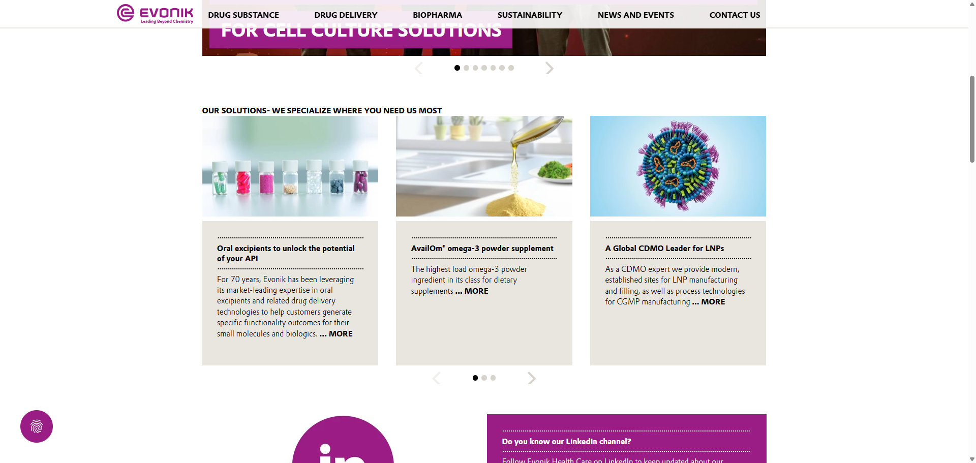Evonik Health Care official website screenshot