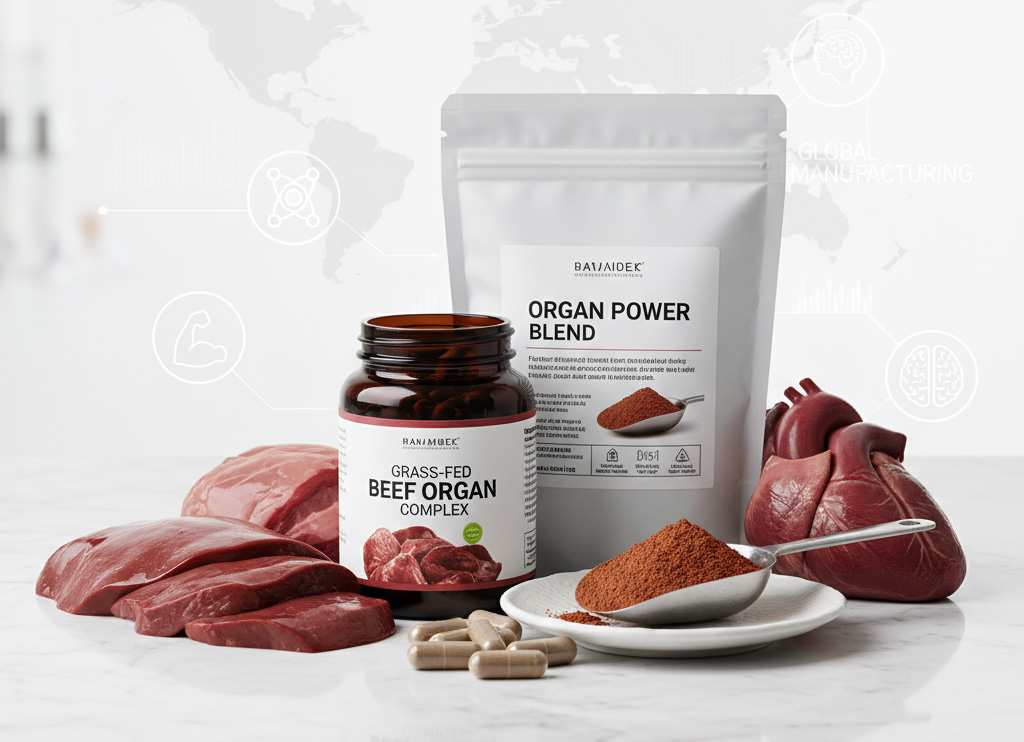 Beef Organ Supplements Benefits and Global Manufacturing Opportunities