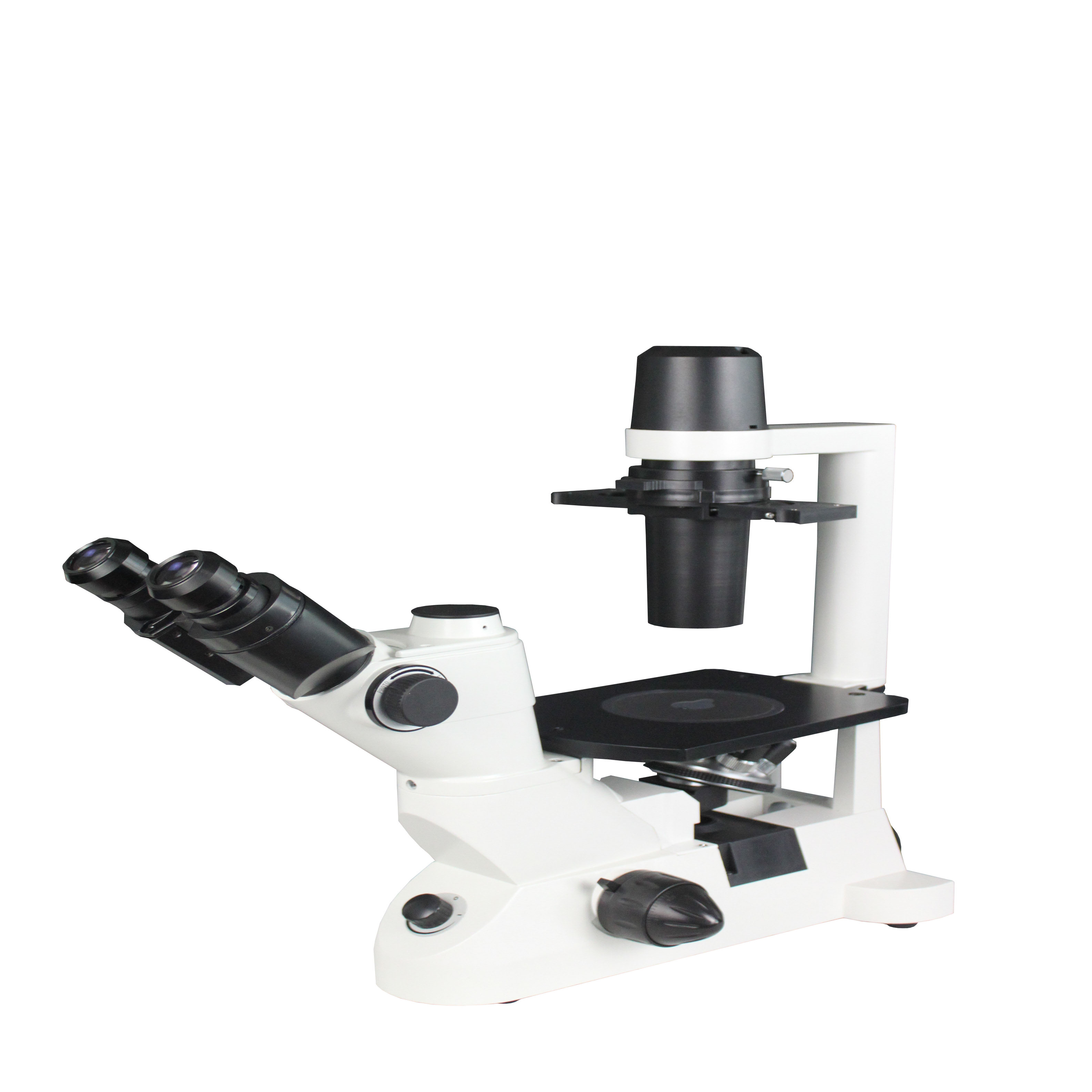 Optical Microscope