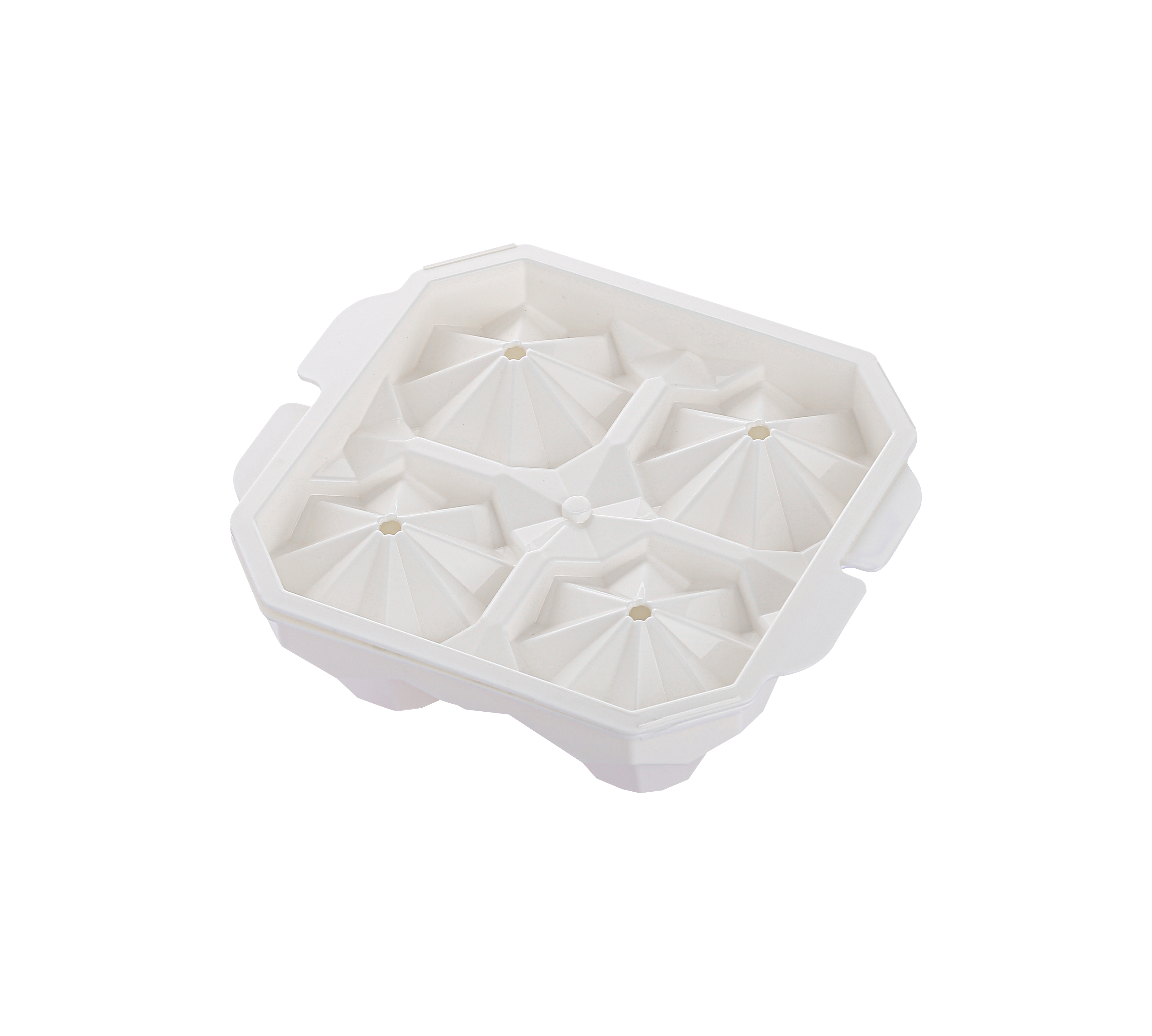 领先的冰格制造商:定制模具和生产