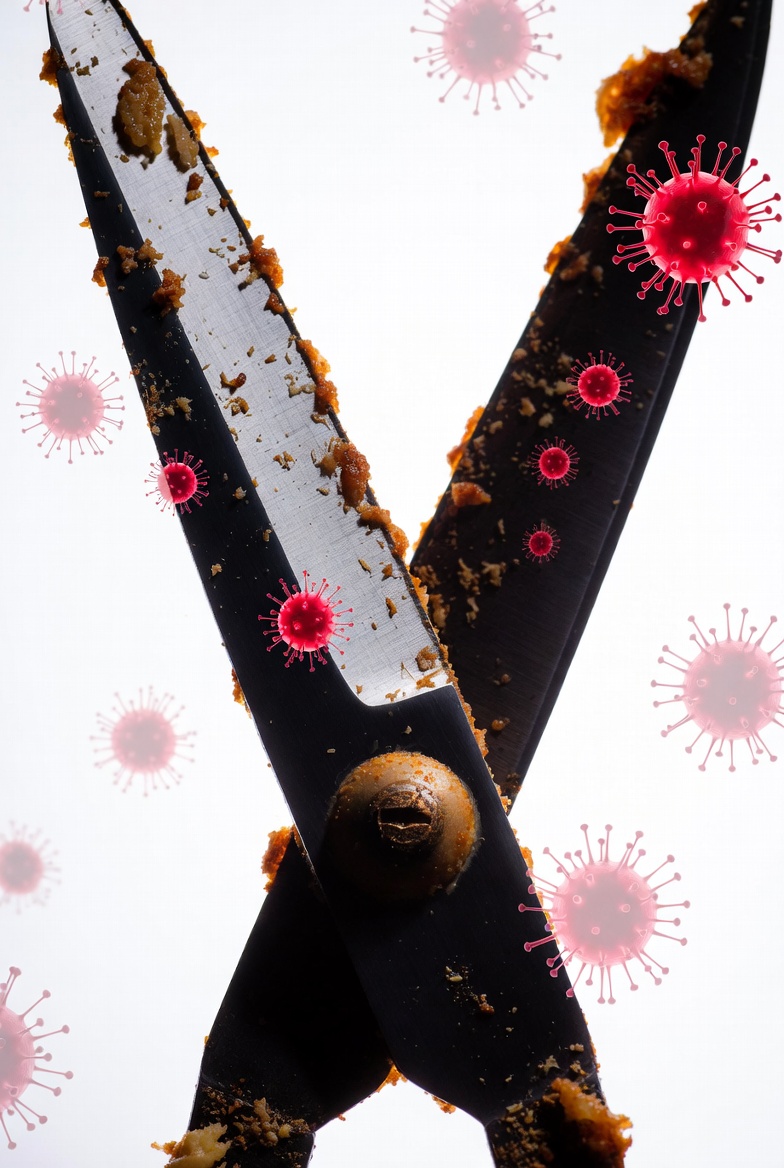 Kitchen Scissors (2).jpg