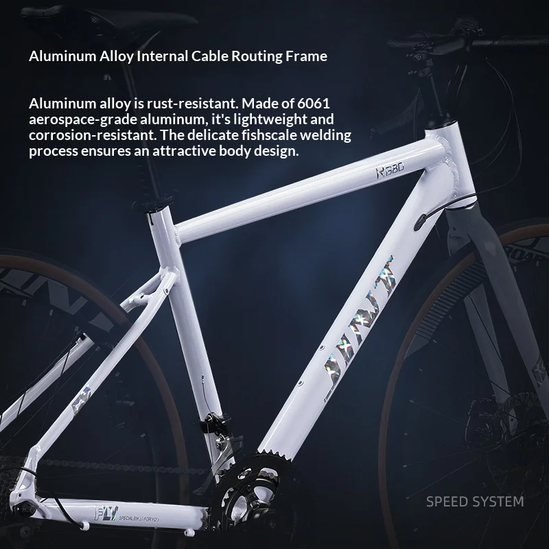 Road Bike Carbon Frame Lightweight Racing Bicycle Factory factory quality inspection