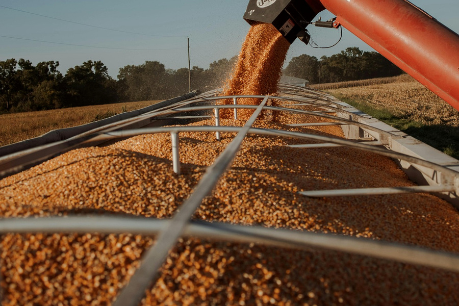 Seasonal grain handling operation illustrating peak agricultural belt replacement demand