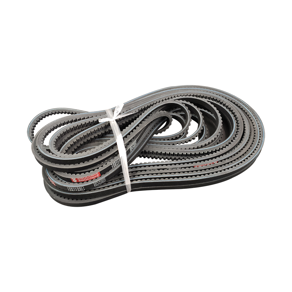 Multiple cogged V-belts in different sizes prepared for industrial and OEM requirements, reflecting the need to match each belt reference to the approved profile, dimensions and application specification.