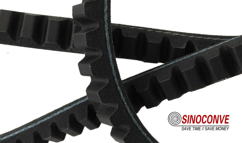 Cogged V-belt section showing the raw edge teeth and the load carrying cords