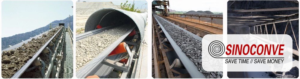 Conveyor belt for chemical products passing a wash-down station with drainage trough