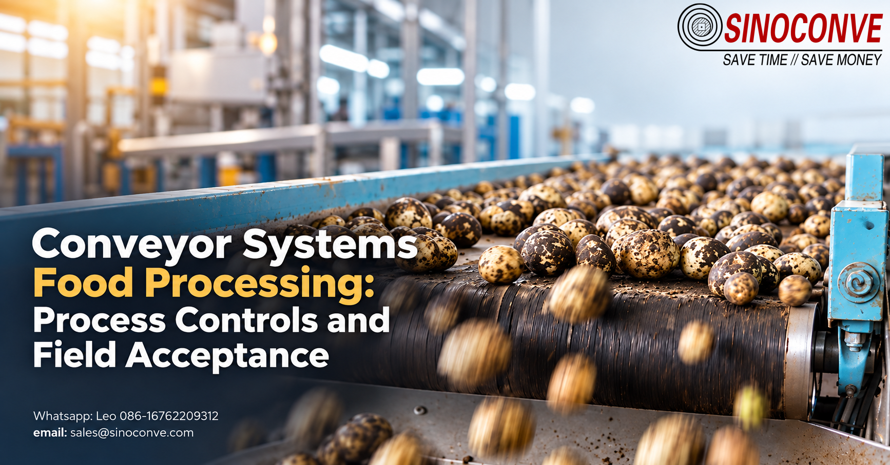 Conveyor Systems Food Processing: Process Controls and Field Acceptance